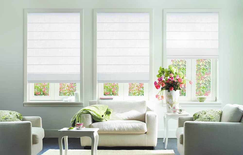 limpieza y Lavado de estor en lince